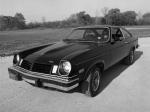 Chevrolet Cosworth Vega 1975 года